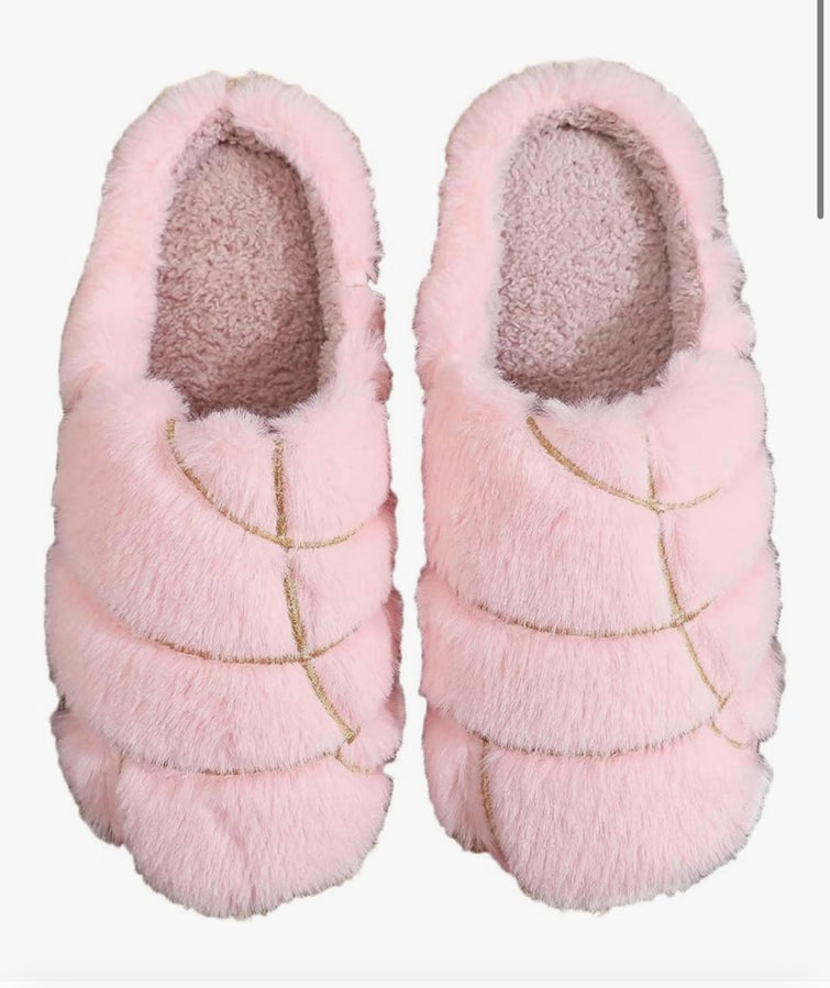 Concha - Slippers